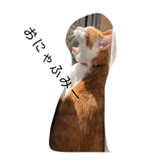 Hayato_20190309000426