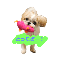 yossy_20190309113224