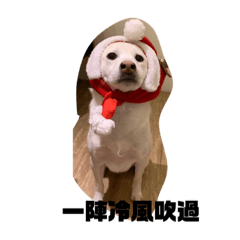QQQ妹