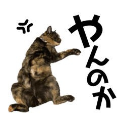 cat sticker "RIN & RAN" 3