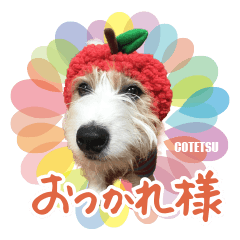 Kusuhara's cat heartwarming sticker