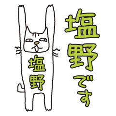 Only for Mr. Shiono Banzai Cat