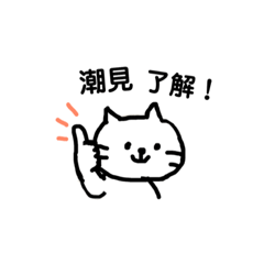 simple cat for shiomi