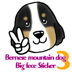Bernese Mountain Dog Big Face Sticker!3