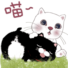 猫家族06 雪花ちゃんと黑豆貓-日常会話