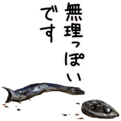 Japanese dried fish 2