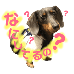 haruna_20190309180310