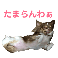 Fluffyyyyyy