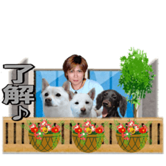 BUBU_20190309180745