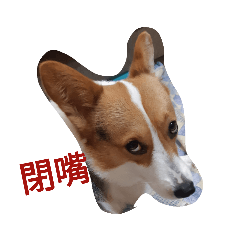 雞塊2
