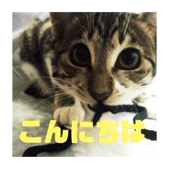 yuto_20190309203949