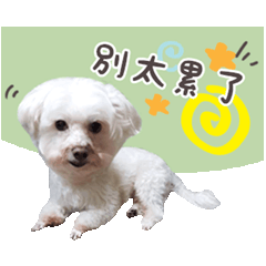 萌寶小飛俠的日常
