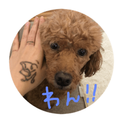 chan_20190310021337