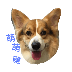 可愛的萌萌da