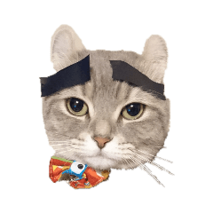 mizuki_20190310050437