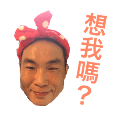 金六結日常