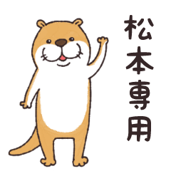 Matsumoto otter sticker