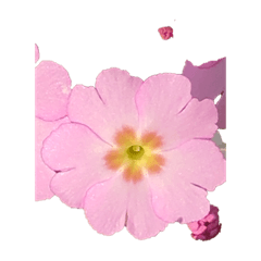 G_20190310111432