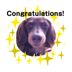 choco stamp rii