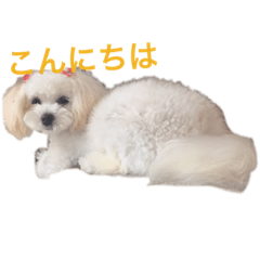 NAO_20190310073049