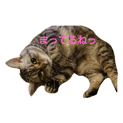 azu_201903102036451