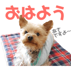 kotaro desu.