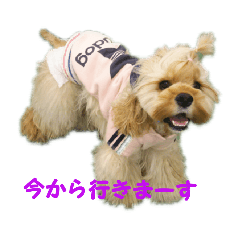 azu_20190310212247