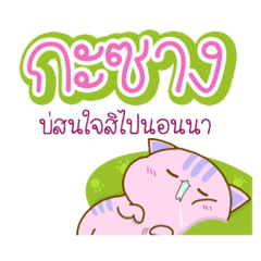 แมวเหมียว เว้าอิสาน