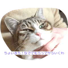 Jun_20190307192817