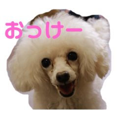 yayoi_20190311001130