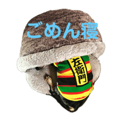 dogs20190310