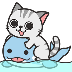 Cat and whale