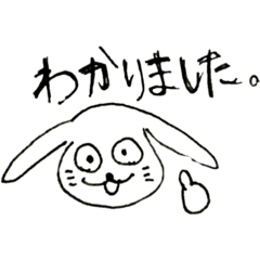 suspicious rabbit