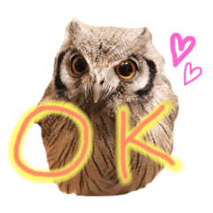 Saori_20190311114805