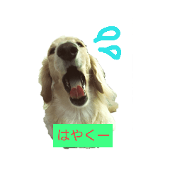 JUNKO_20190311123445