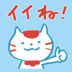 HINOMARU CAT 2019