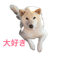 junjun_20190311153530
