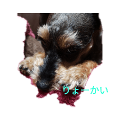 hiroyuki_20190311200641