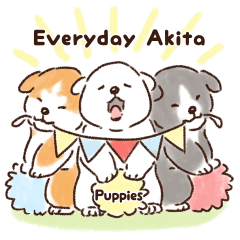 Everyday Akita Puppies in English