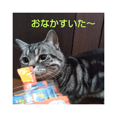 Saori_20190311180301