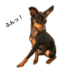 Chris_20190311180404