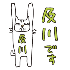 Only for Mr. Oikawa Banzai Cat
