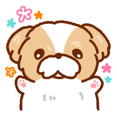 Shih tzu stickers Clearance
