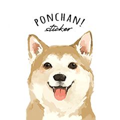 Ponchan!(Cute dog sticker)