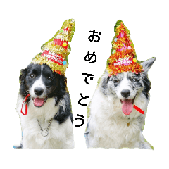 kurumi_20190312172955