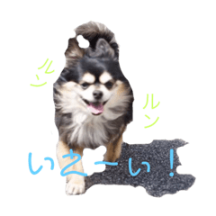 Miyabi_20190312182925