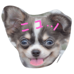 Judy_20190312183059