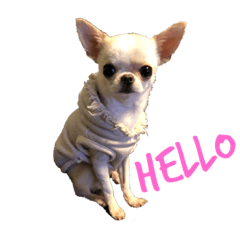 saori_20190312195123