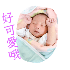 小芝麻abby