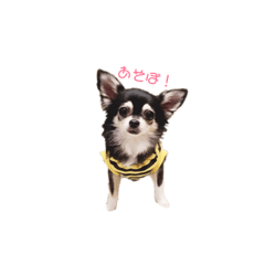 I Chan0324